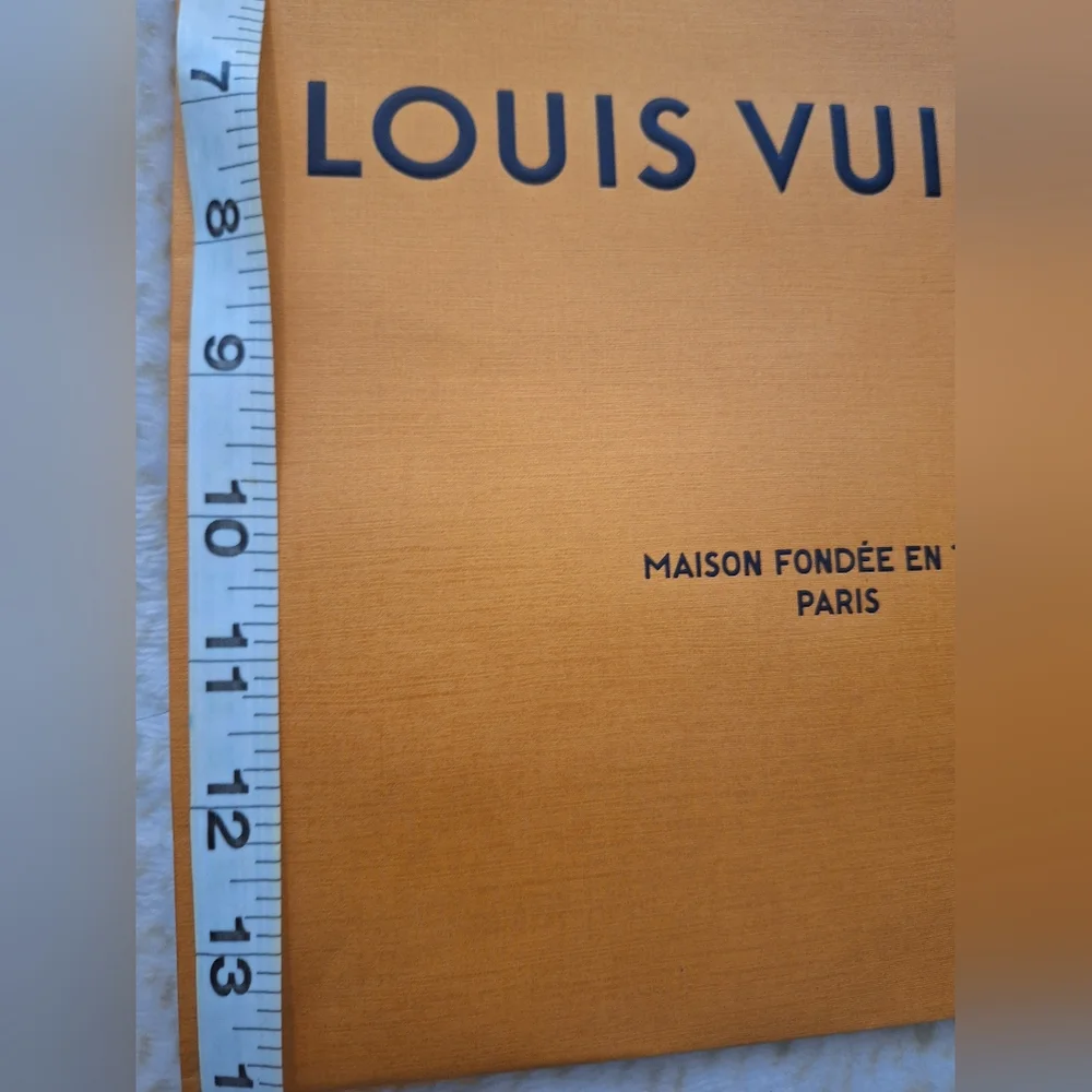 Louis Vuitton Paper Bag